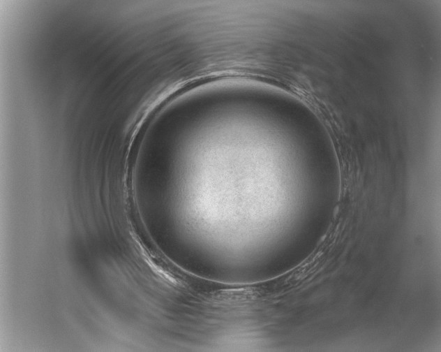 X0000060220050200510281118
