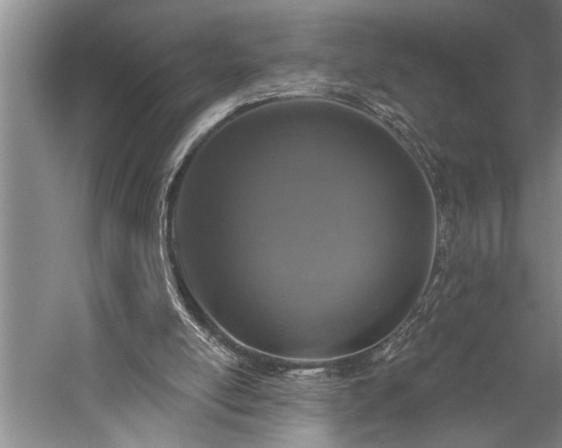 X0000060220054200510281118