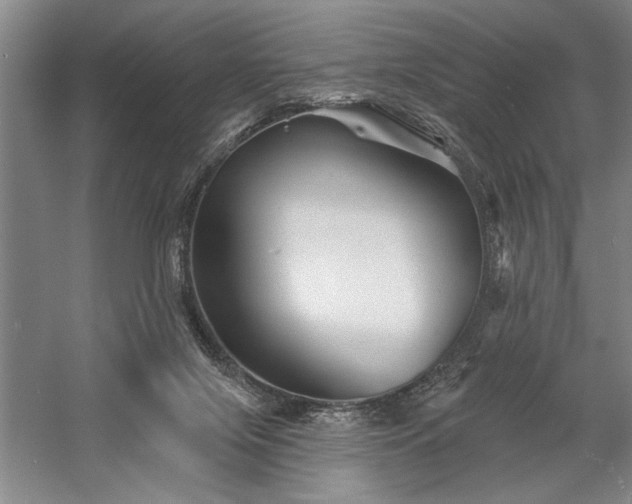 X0000060220071200510281119