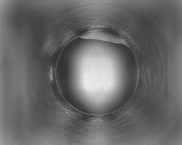 X0000060220075200510281119