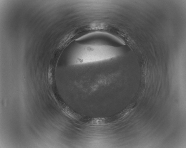 X0000060220080200510281119