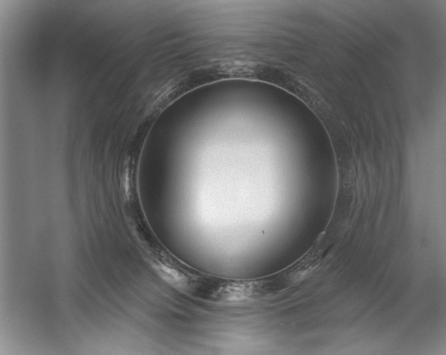 X0000060220084200510281119