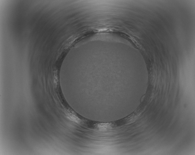 X0000060220085200510281119