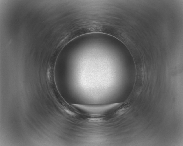 X0000060220088200510281119