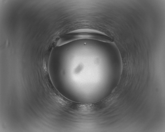 X0000060220089200510281119