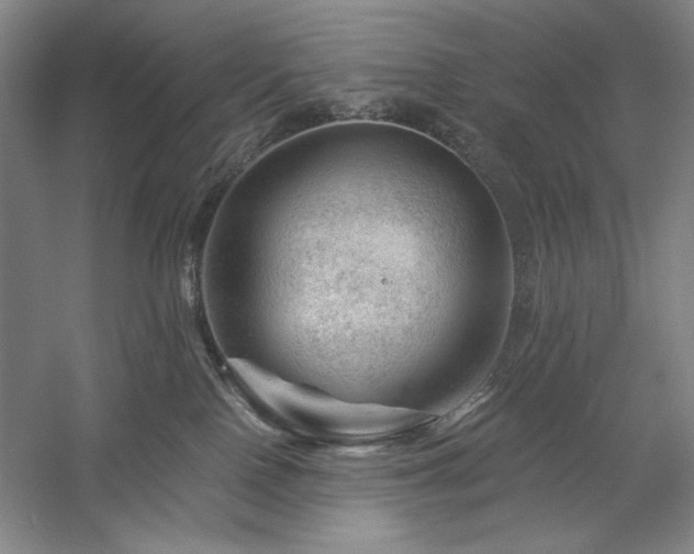 X0000060220090200510281119