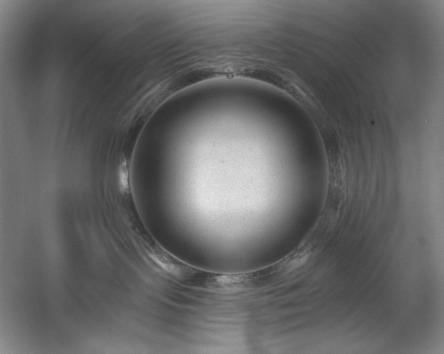 X0000060220095200510281119