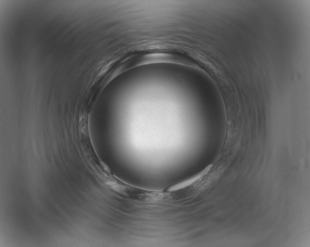 X0000060220096200510281119