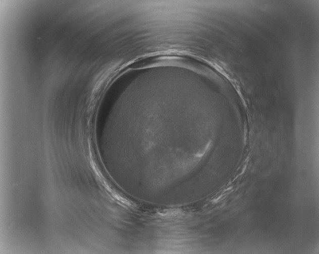 X0000060220097200510281118
