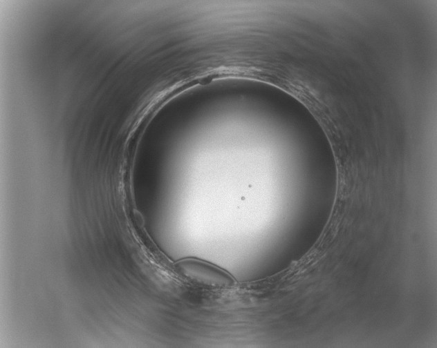 X0000060220098200510281118
