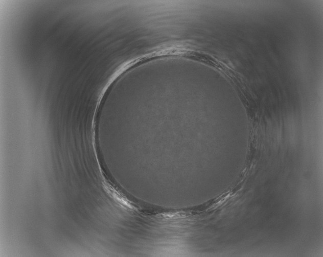 X0000060220100200510281118