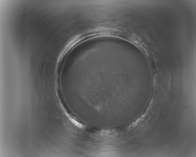 X0000060220101200510281118