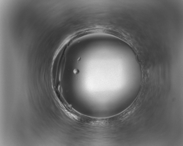 X0000060220102200510281118