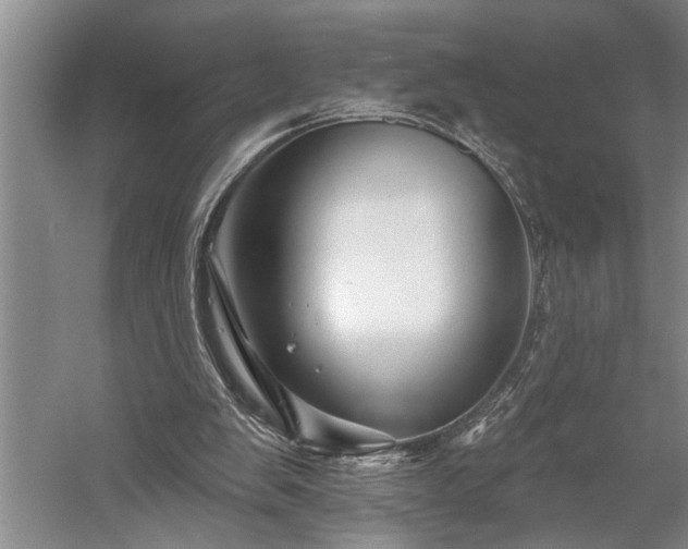 X0000060220103200510281118