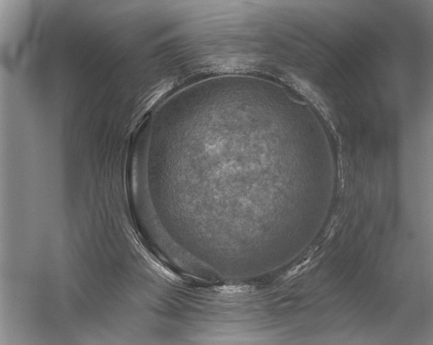 X0000060220105200510281118