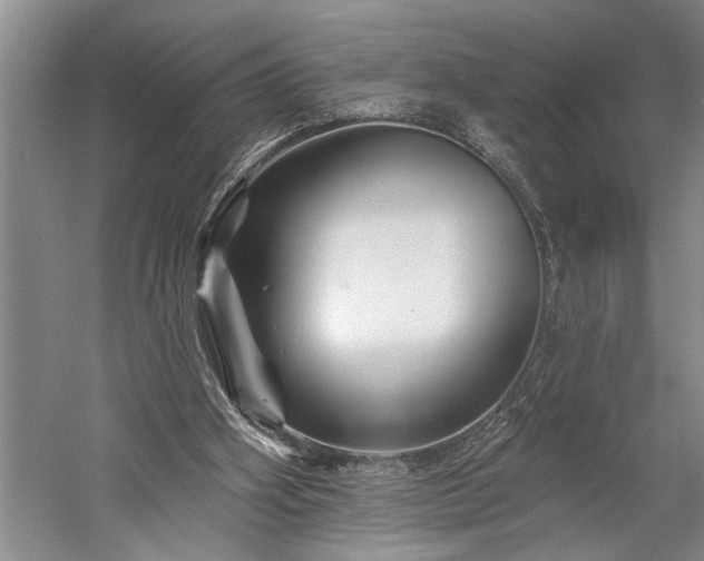 X0000060220106200510281118
