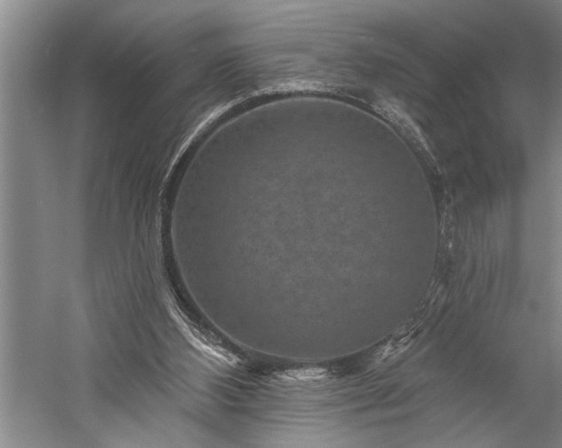 X0000060220108200510281118