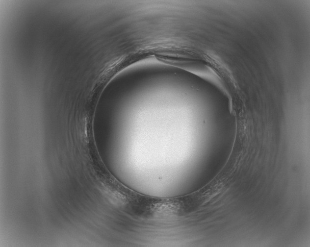 X0000060220115200510281118