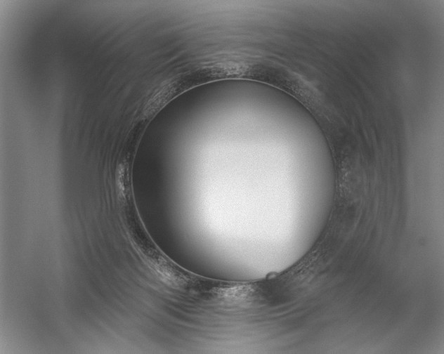X0000060220122200510281118