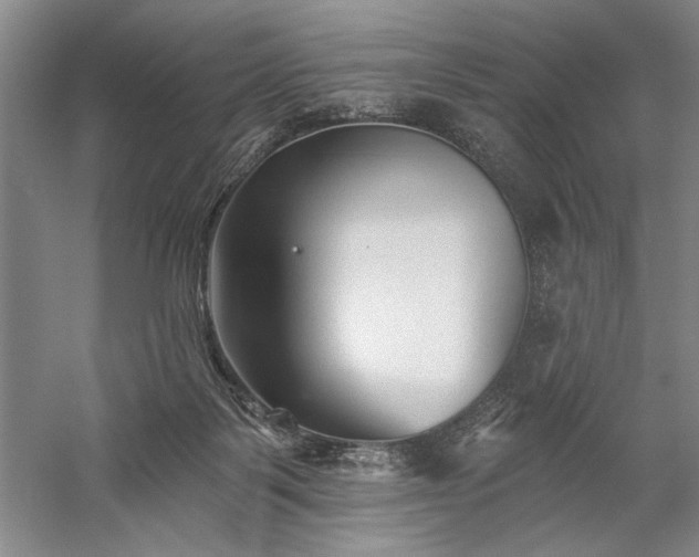X0000060220123200510281118