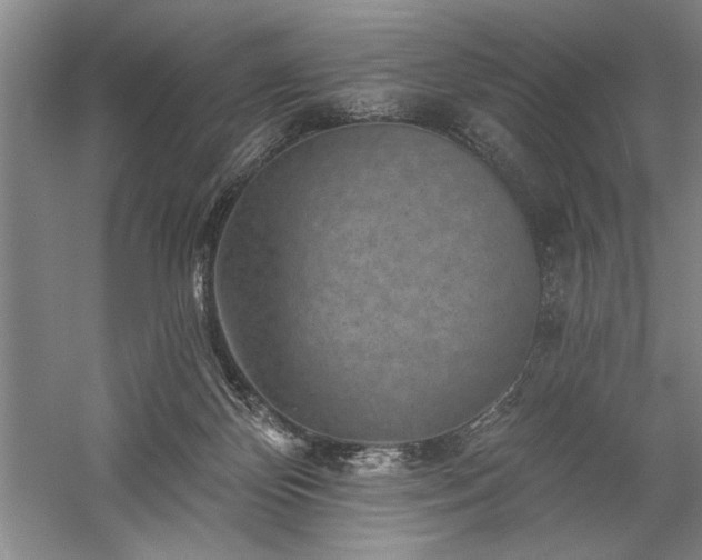 X0000060220124200510281118
