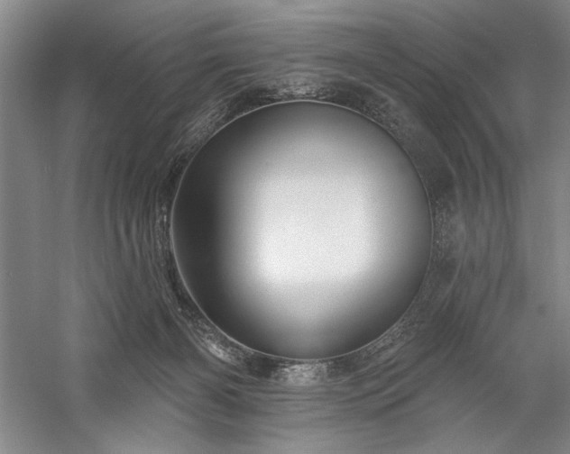 X0000060220126200510281118