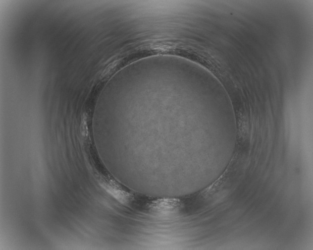 X0000060220128200510281118