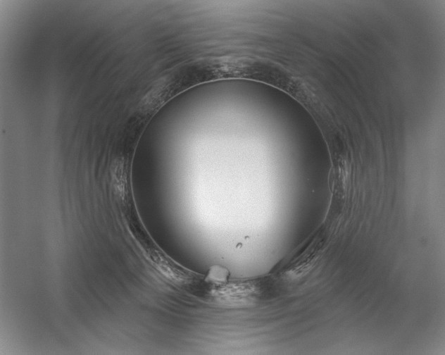X0000060220129200510281118