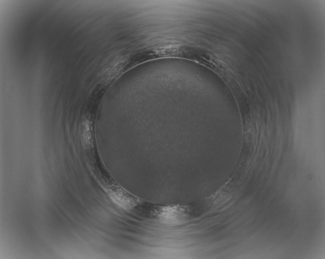 X0000060220130200510281118