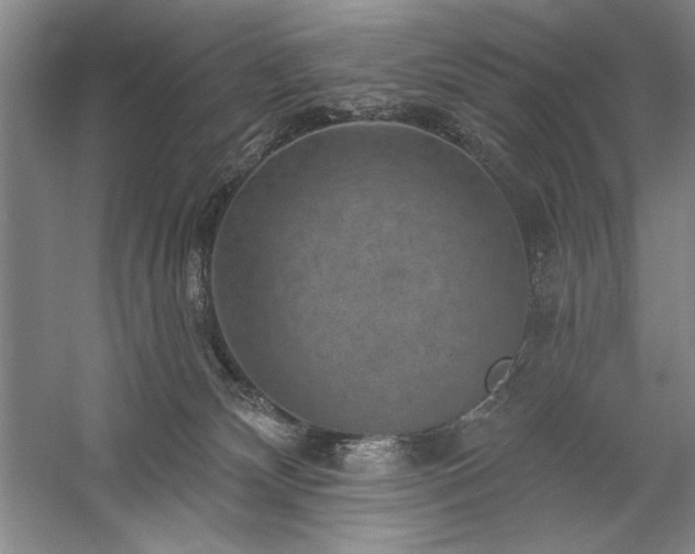 X0000060220132200510281118