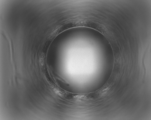 X0000060220133200510281118