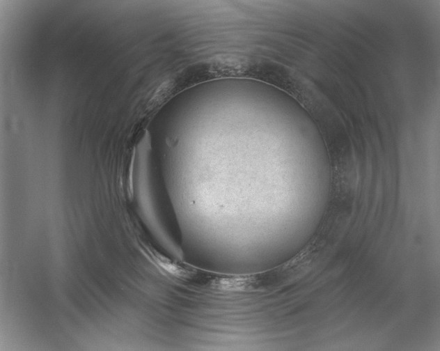 X0000060220134200510281118
