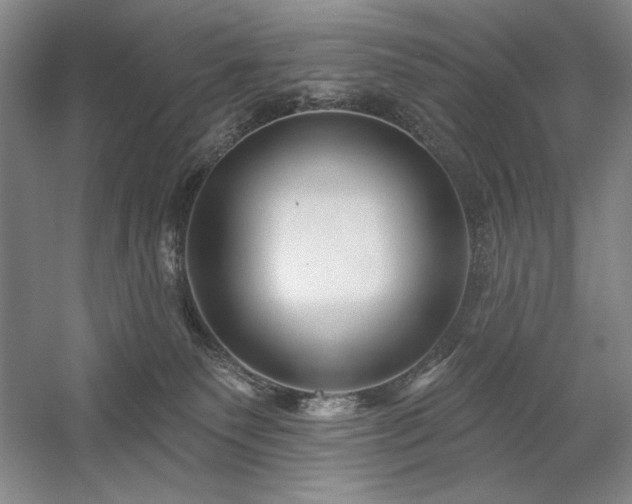 X0000060220135200510281118