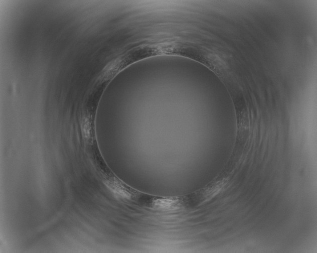 X0000060220139200510281118