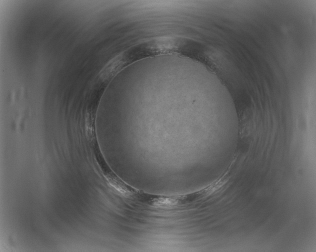 X0000060220140200510281118