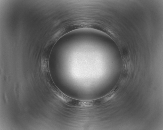 X0000060220141200510281118