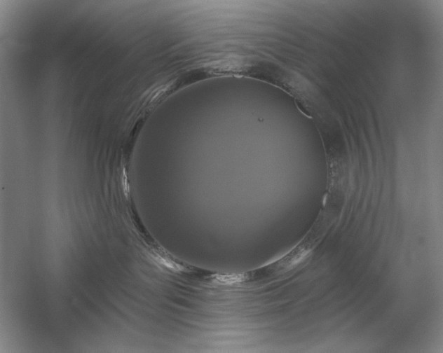X0000060220143200510281117