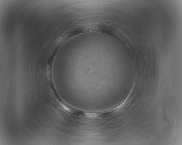 X0000060220144200510281117