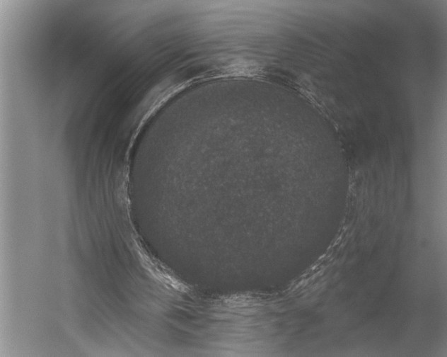 X0000060220146200510281117