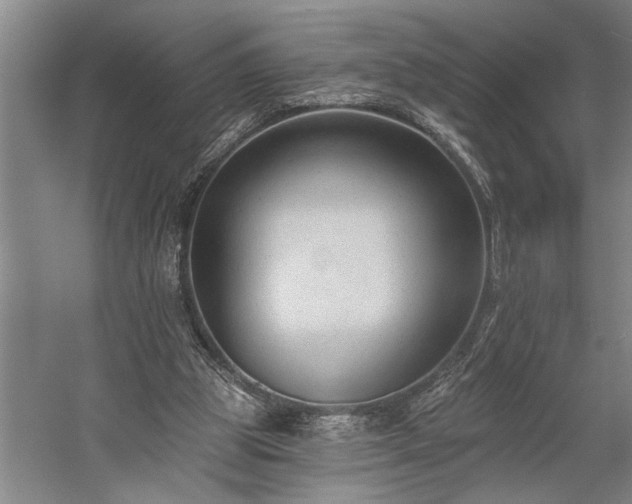 X0000060220153200510281117
