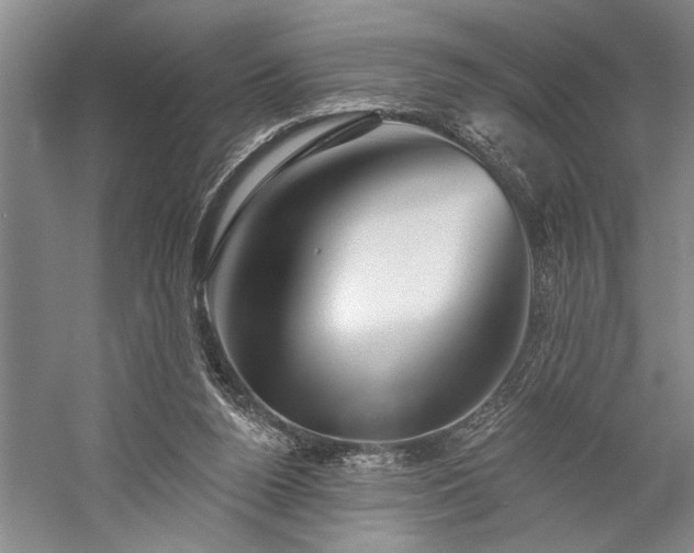 X0000060220160200510281117