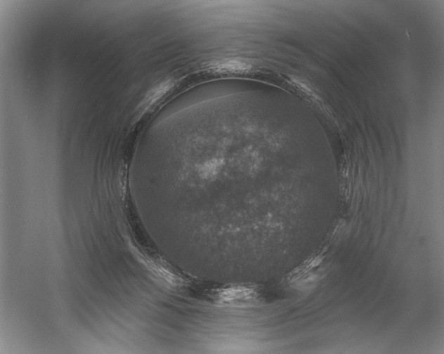 X0000060220168200510281117