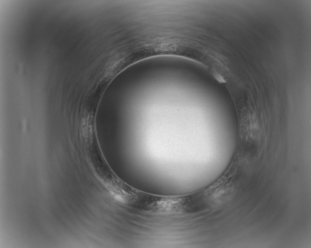 X0000060220172200510281117
