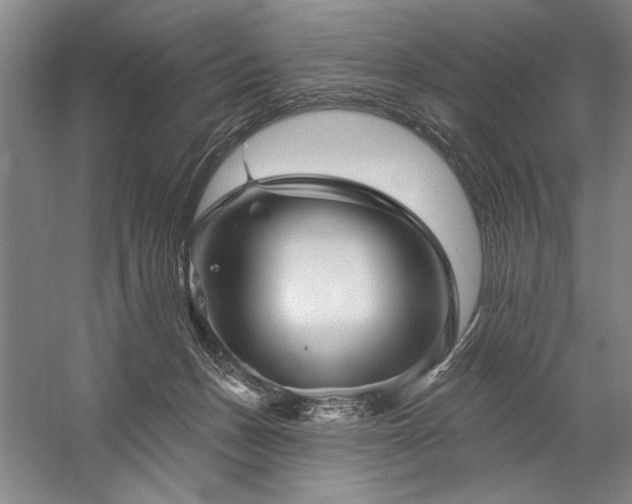 X0000060220175200510281117