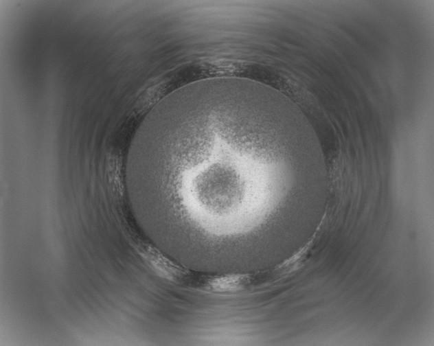 X0000060220178200510281117