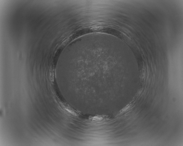 X0000060220180200510281117