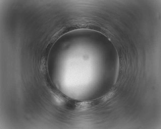 X0000060220184200510281117