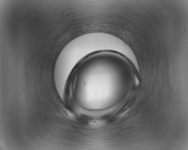 X0000060220185200510281117
