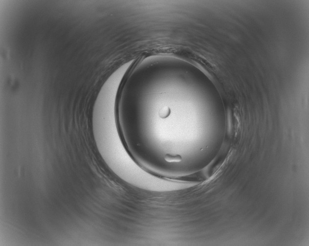 X0000060220187200510281117