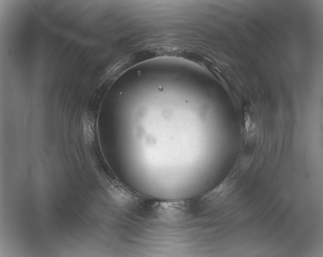X0000060220188200510281117